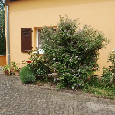 Le A L'ombre Du Tilleul *