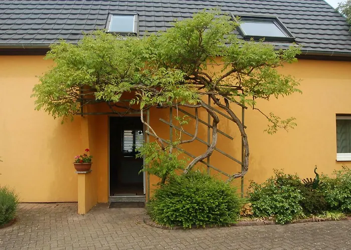 Le A L'ombre Du Tilleul Obersaasheim